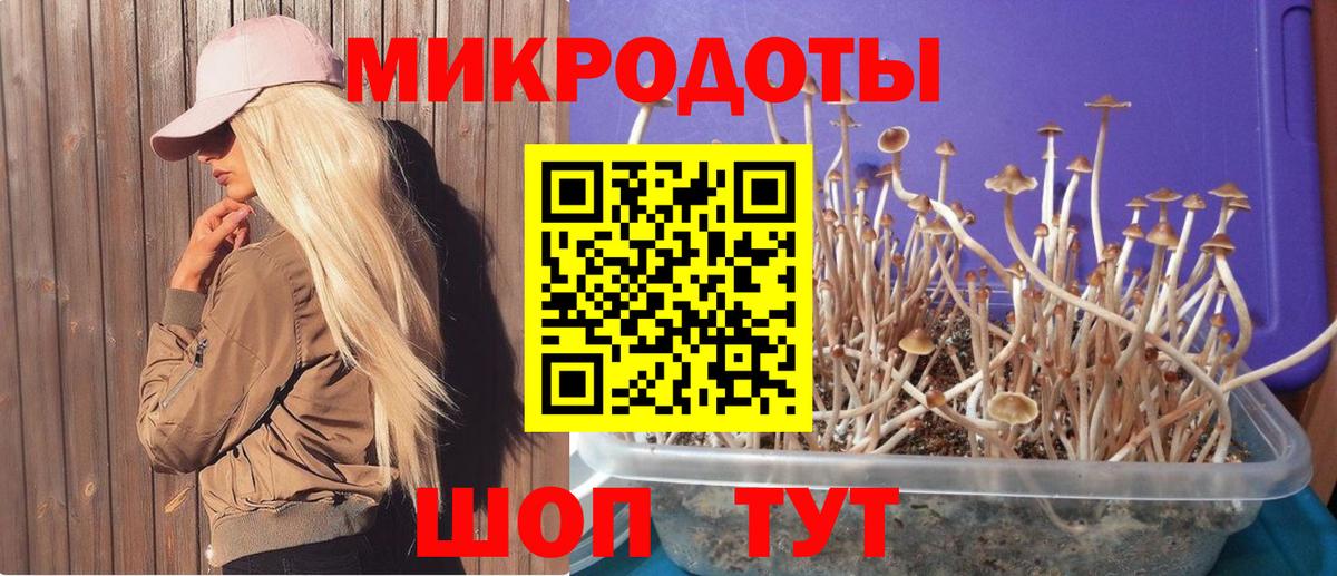 Анапа  Псилоцибиновые грибы Magic Shrooms  Псилоцибиновые грибы мицелий  Вход с VPN 